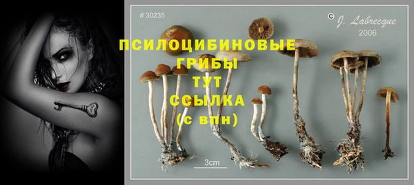 спайс Алзамай
