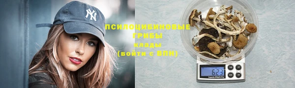 трава Абаза