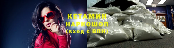 альфа пвп Новодвинск