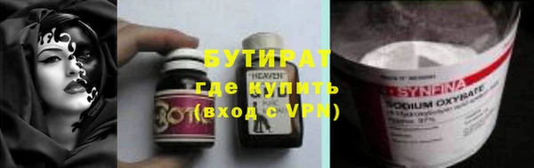 сатива Новокубанск