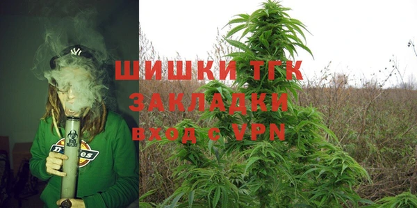 apvp Алексин