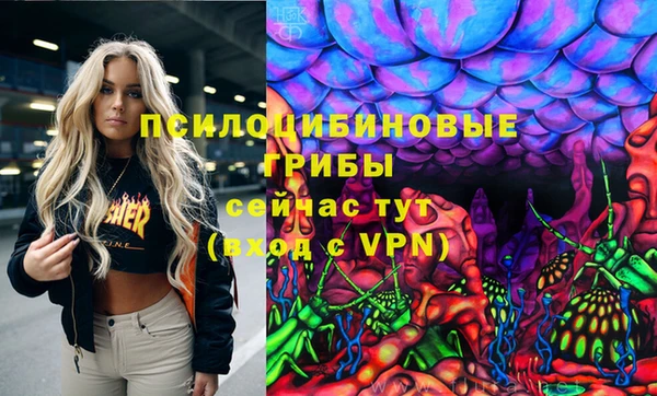 спайс Алзамай