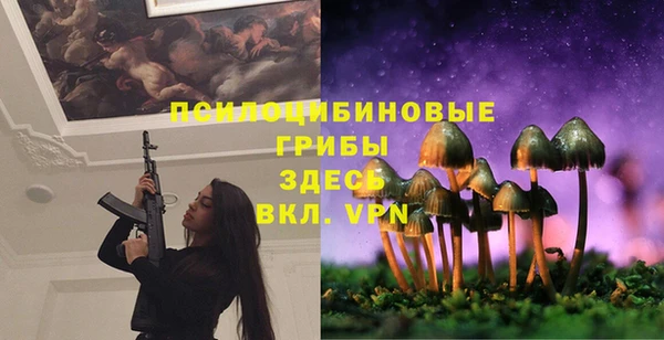 спайс Алзамай