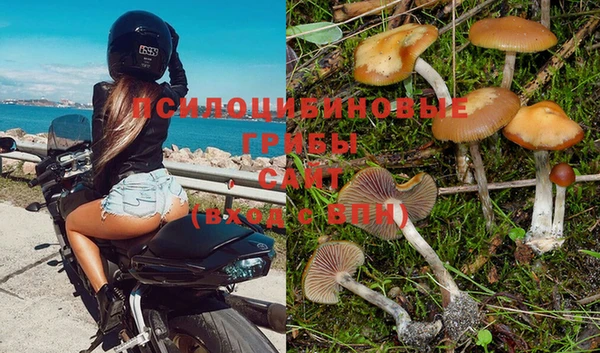 спайс Алзамай