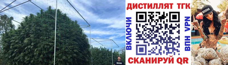 ТГК гашишное масло  Солигалич 